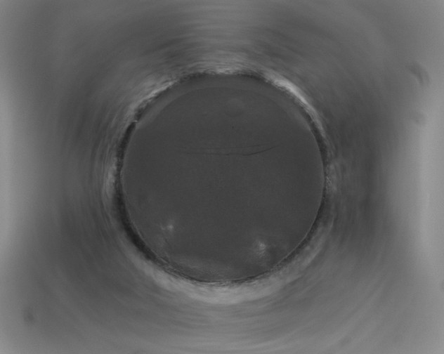 X0000114120018200910051520