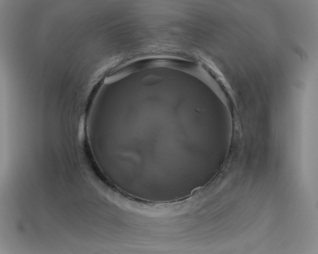 X0000114120019200910051520