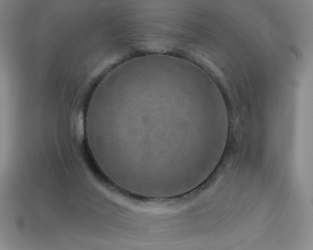 X0000114120020200910051520