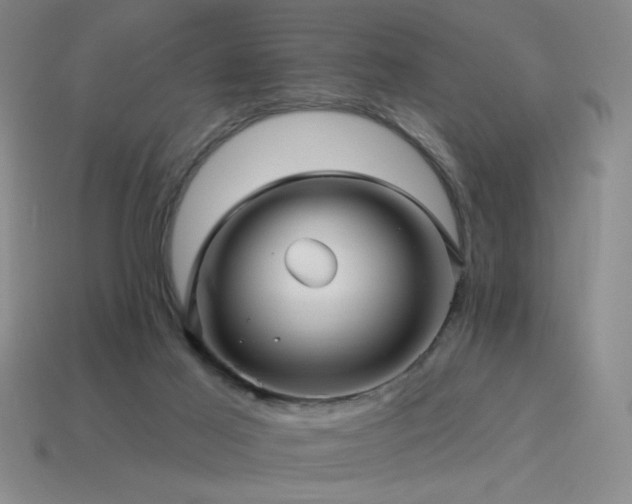 X0000114120021200910051520