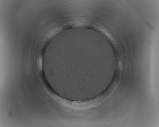 X0000114120022200910051520