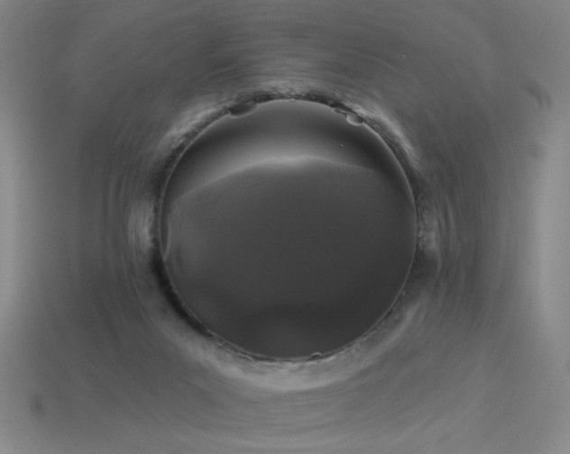 X0000114120023200910051520