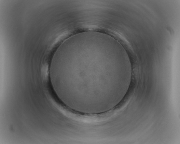 X0000114120024200910051520