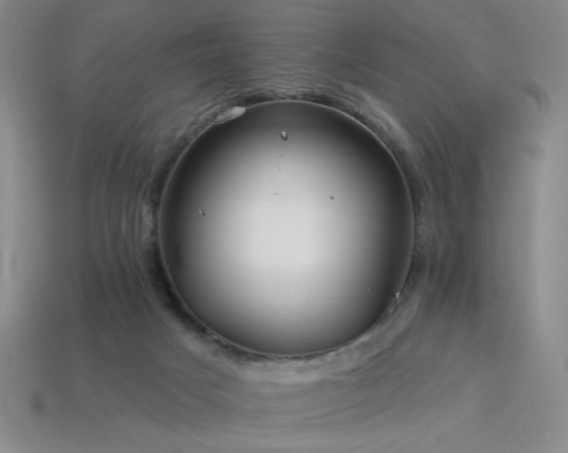 X0000114120025200910051520