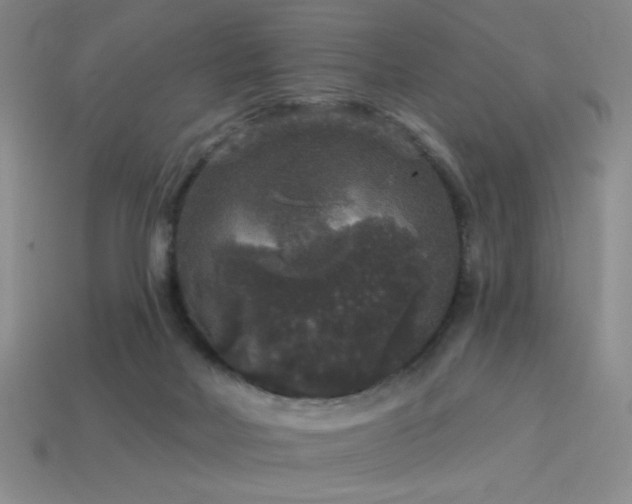 X0000114120026200910051520