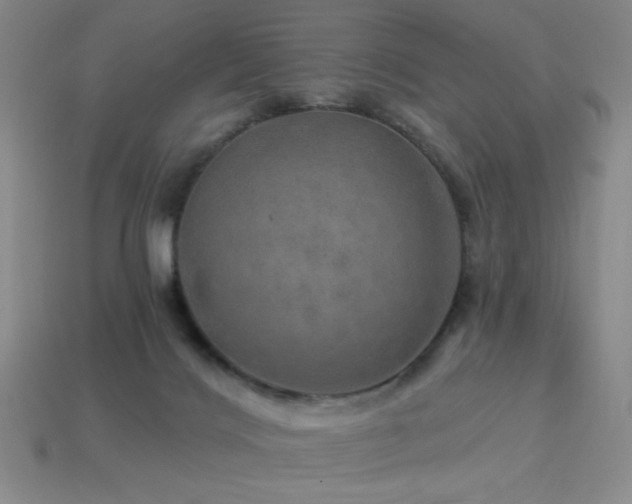 X0000114120028200910051520