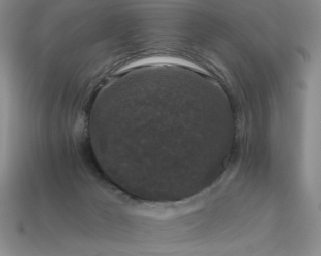 X0000114120029200910051520