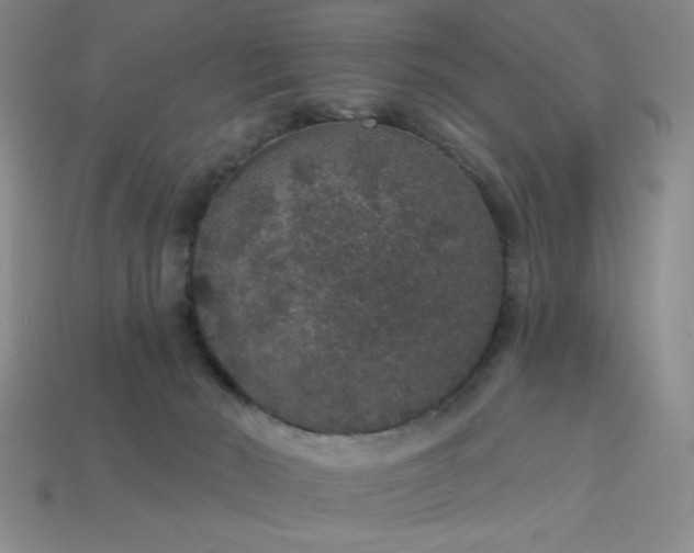 X0000114120030200910051520