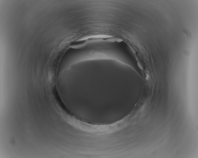 X0000114120031200910051520