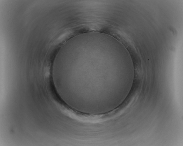 X0000114120032200910051520