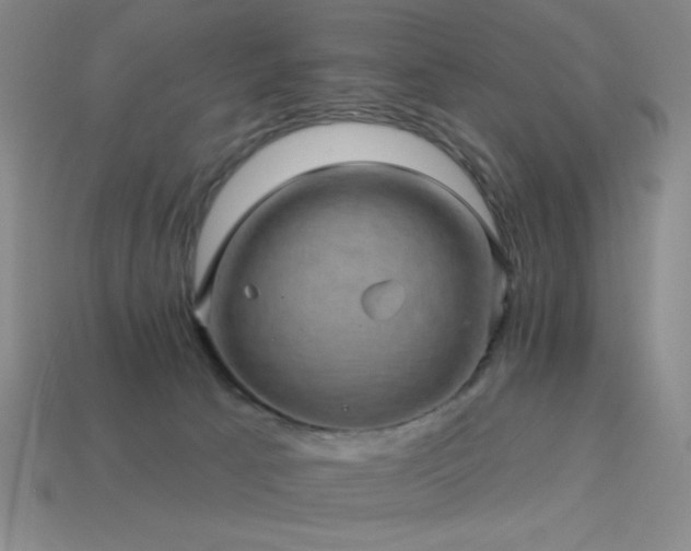 X0000114120033200910051520