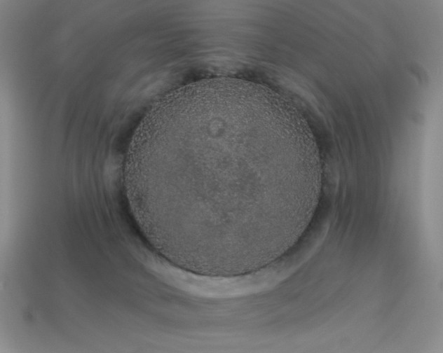 X0000114120034200910051520