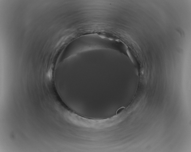 X0000114120035200910051520