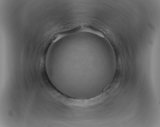 X0000114120037200910051520