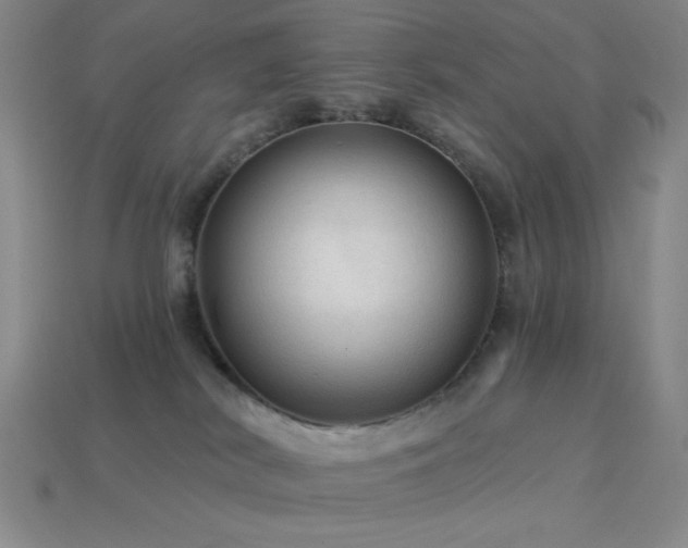 X0000114120038200910051520