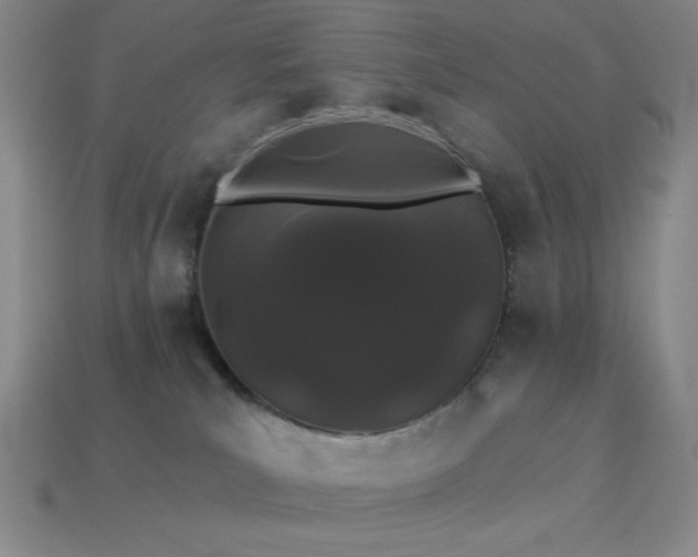 X0000114120039200910051520