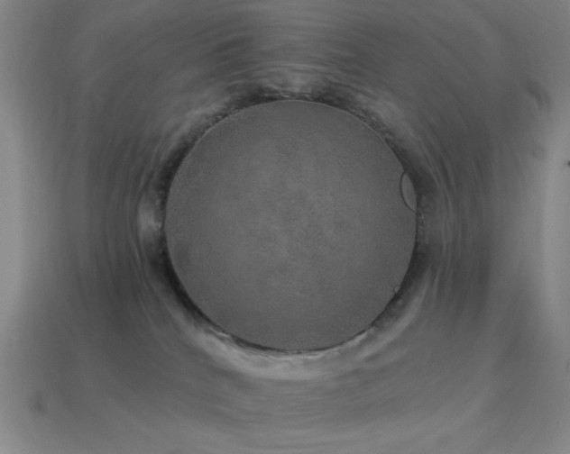 X0000114120040200910051520