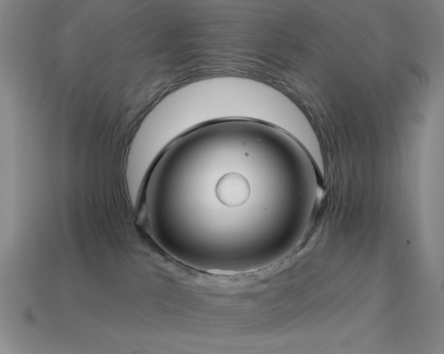 X0000114120041200910051520