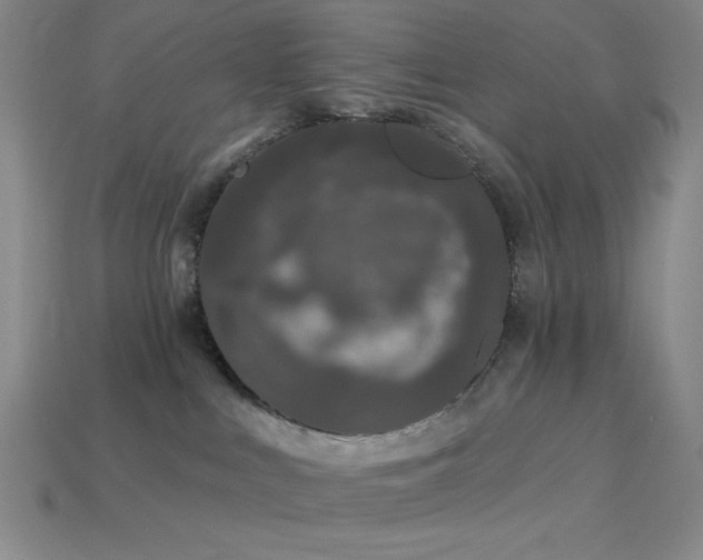 X0000114120043200910051520