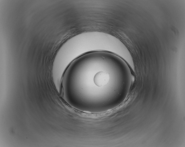 X0000114120045200910051520