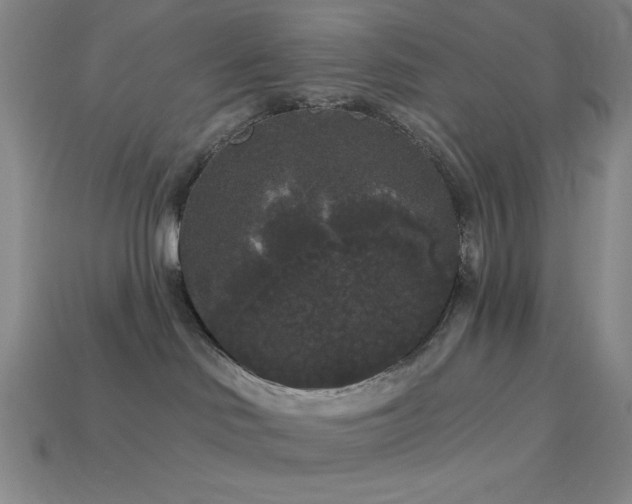 X0000114120046200910051520