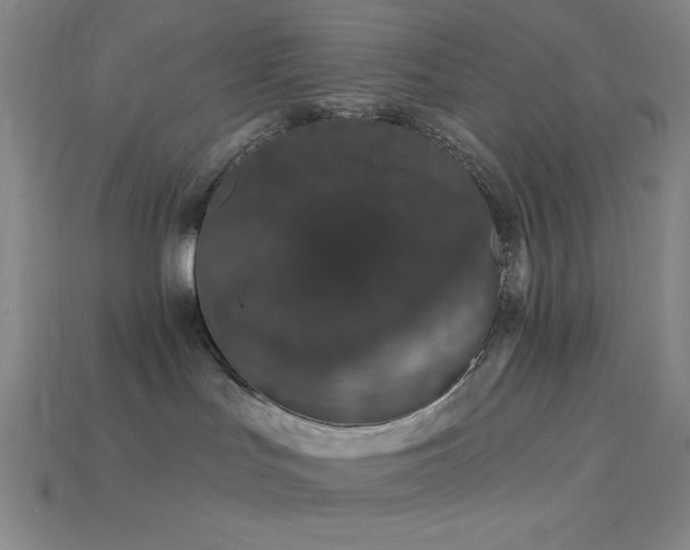 X0000114120047200910051520