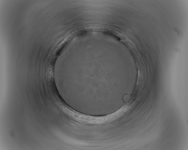 X0000114120048200910051520