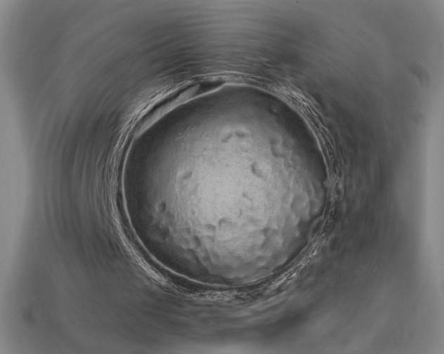 X0000114120049200910051519