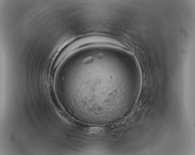 X0000114120050200910051519