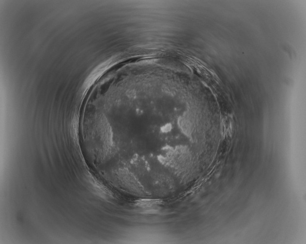 X0000114120051200910051519