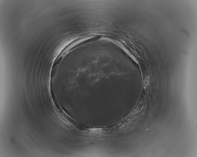 X0000114120052200910051519