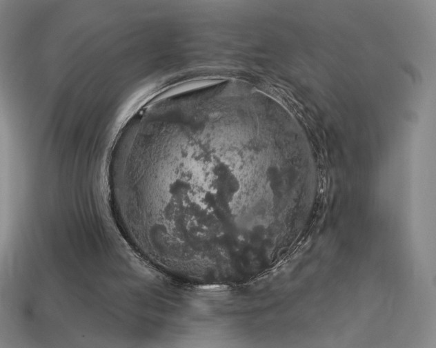 X0000114120053200910051519