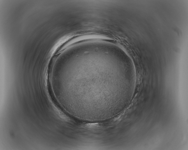 X0000114120054200910051519