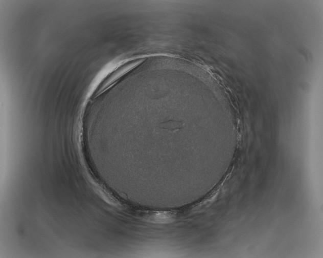 X0000114120056200910051519