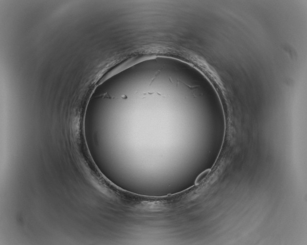 X0000114120057200910051519