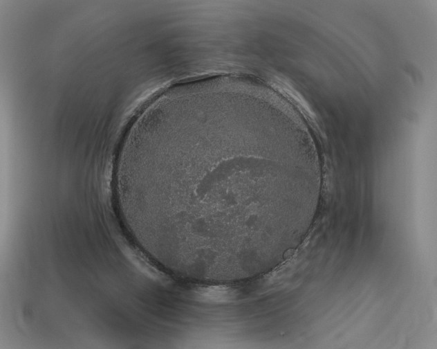 X0000114120058200910051519