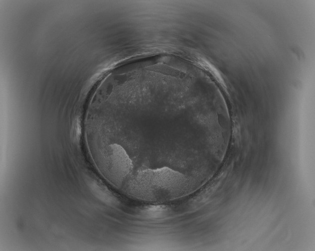 X0000114120059200910051519