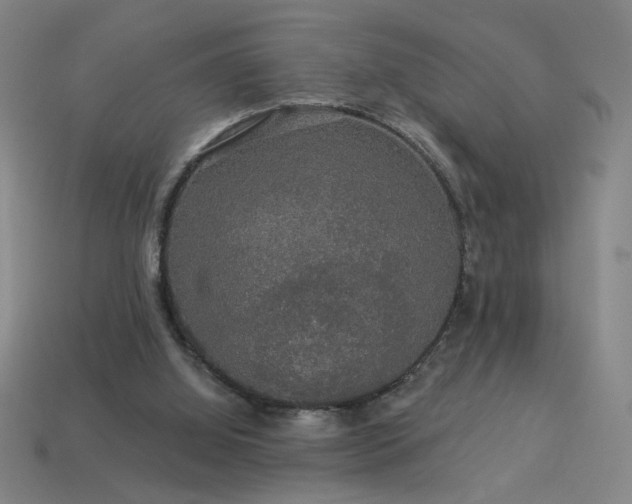 X0000114120060200910051519