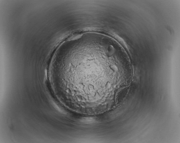 X0000114120061200910051519