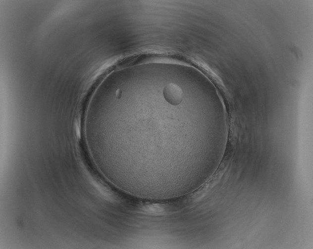 X0000114120062200910051519