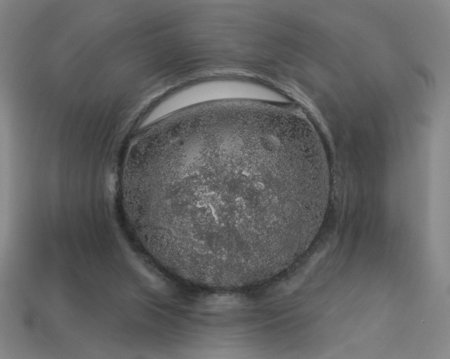 X0000114120063200910051519