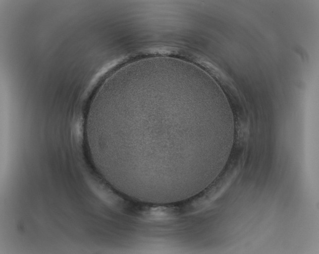 X0000114120064200910051519