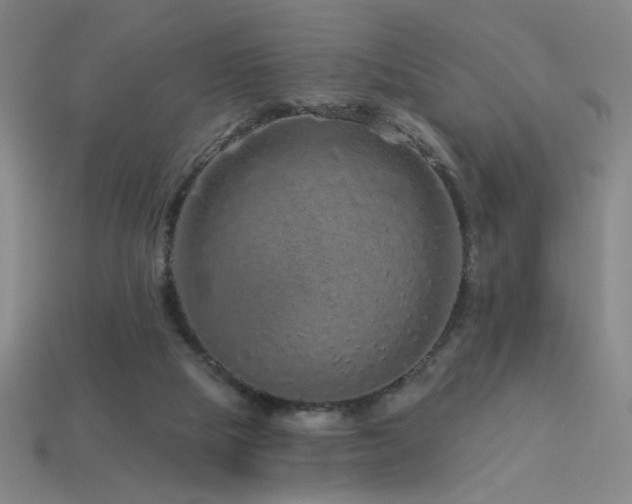 X0000114120065200910051519