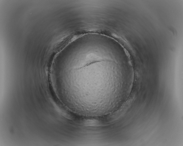 X0000114120066200910051519