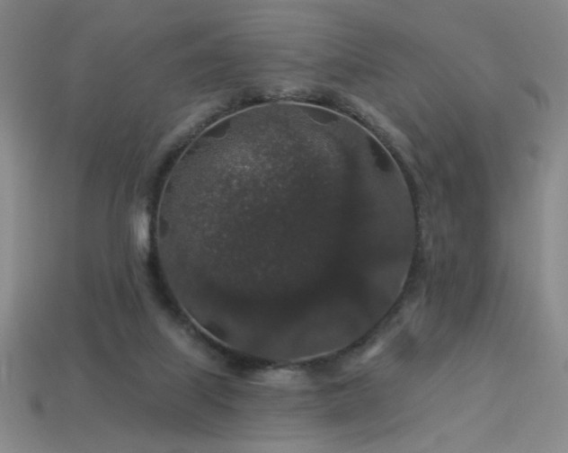 X0000114120067200910051519