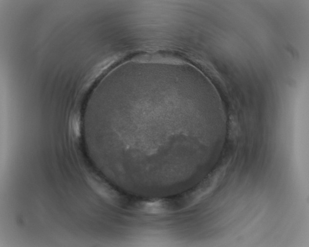 X0000114120068200910051519