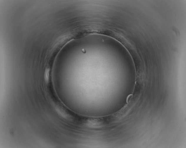 X0000114120070200910051519