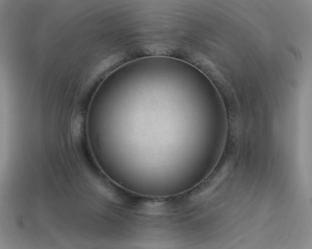 X0000114120071200910051519