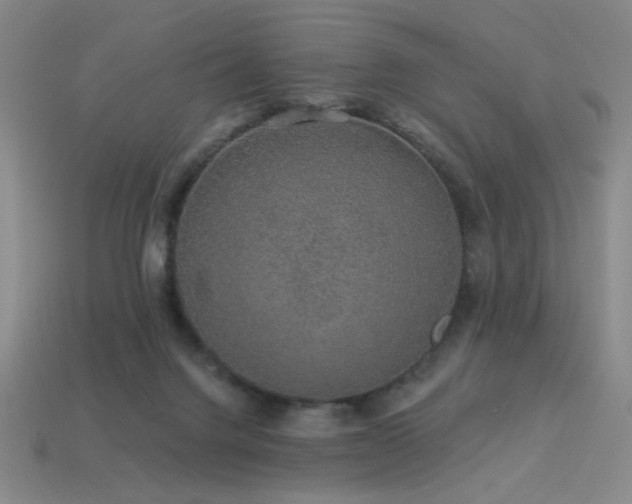 X0000114120072200910051519