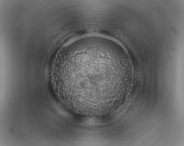 X0000114120074200910051519